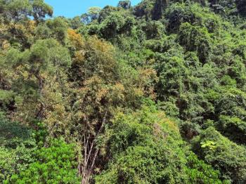 麗山國中綠景溫馨美寓