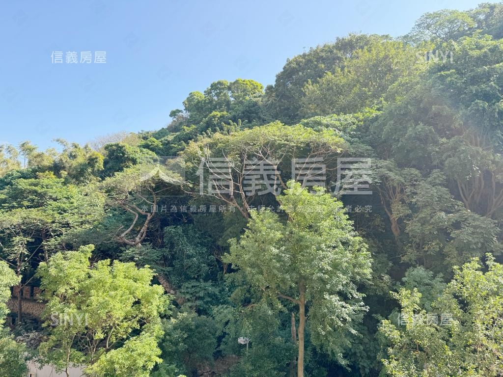 遠雄天母樹海霸景房屋室內格局與周邊環境