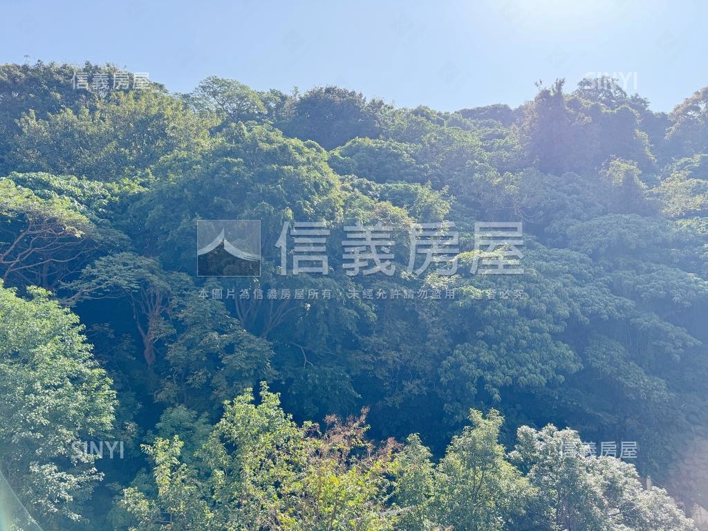 遠雄天母樹海霸景房屋室內格局與周邊環境