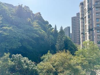 遠雄天母樹海霸景