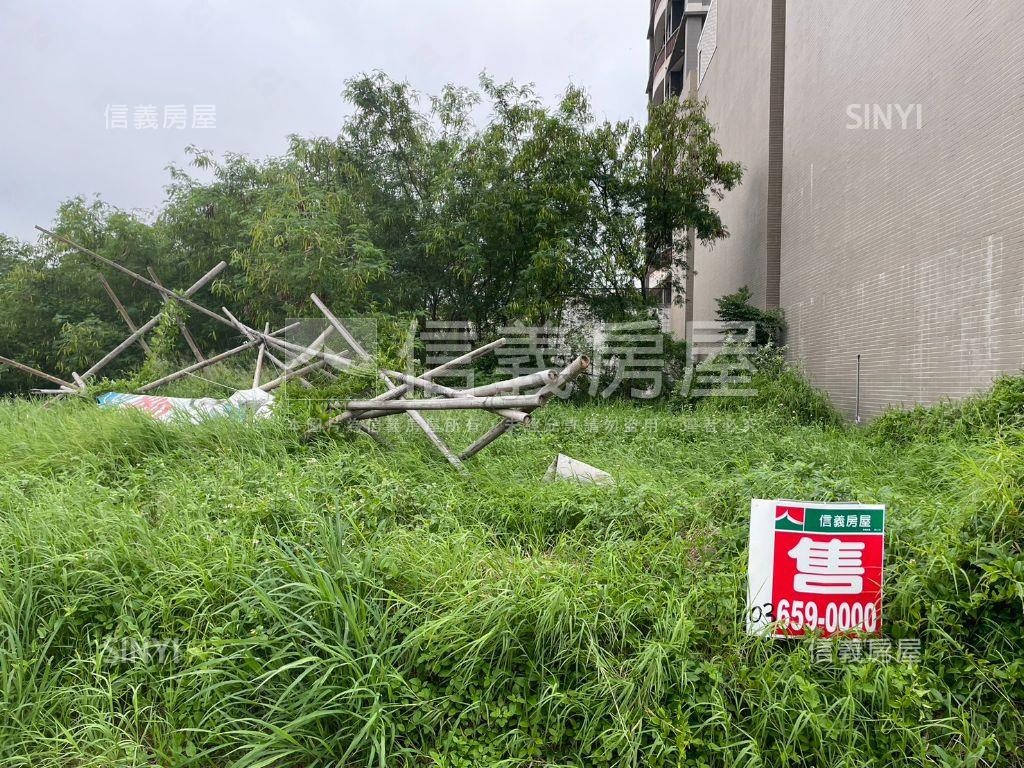 大埔重劃區百坪方正土地房屋室內格局與周邊環境