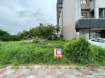 價格可談大埔百坪臨路土地