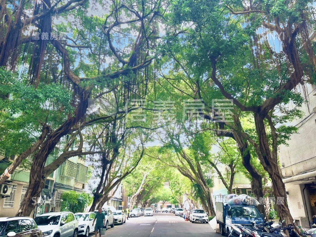 公教住宅林蔭角間一樓房屋室內格局與周邊環境