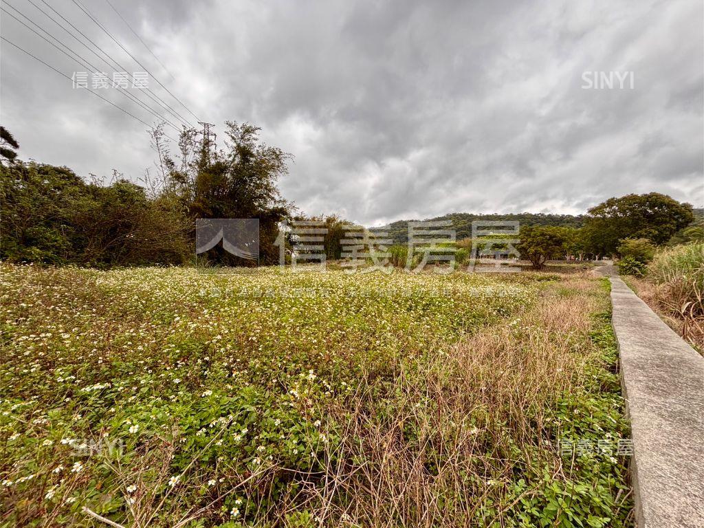 新埔休閒地。大面寬平坦房屋室內格局與周邊環境