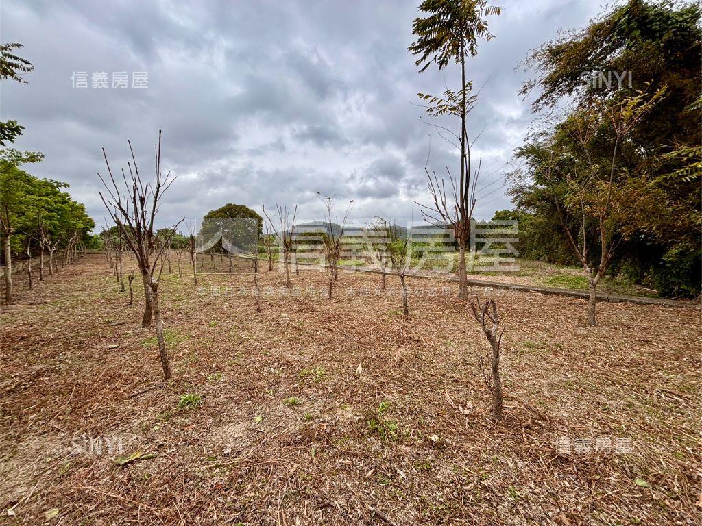 新埔休閒地。大面寬平坦房屋室內格局與周邊環境