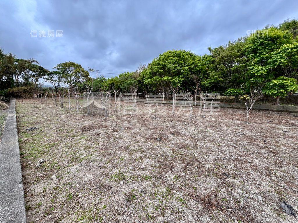 新埔休閒地。大面寬平坦房屋室內格局與周邊環境