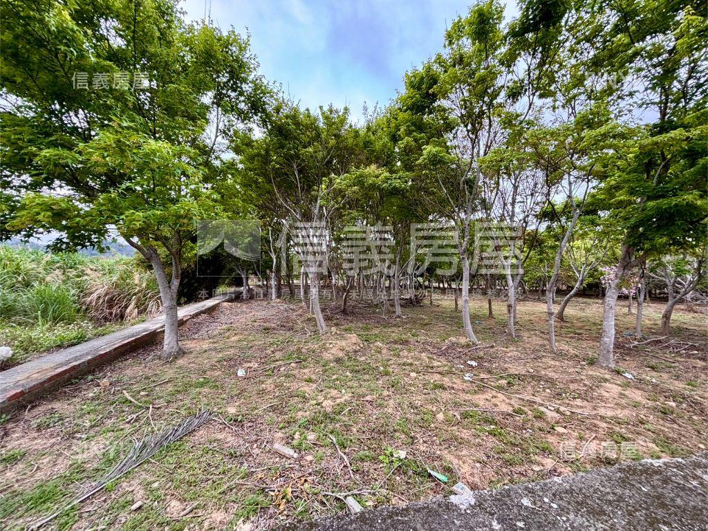 新埔休閒地。大面寬平坦房屋室內格局與周邊環境