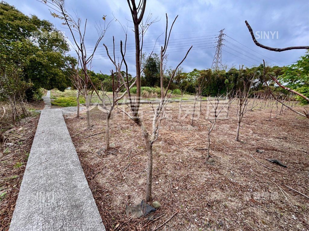 新埔休閒地。大面寬平坦房屋室內格局與周邊環境