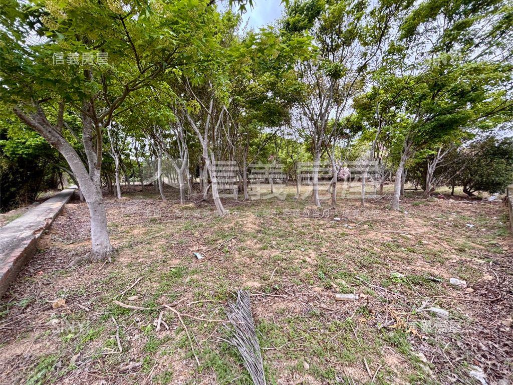 新埔休閒地。大面寬平坦房屋室內格局與周邊環境