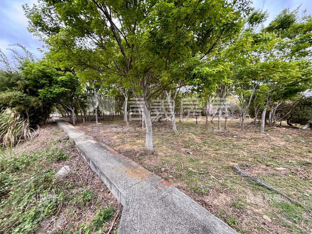 新埔休閒地。大面寬平坦房屋室內格局與周邊環境