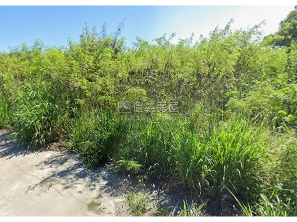 花蓮吉安臨路農地房屋室內格局與周邊環境