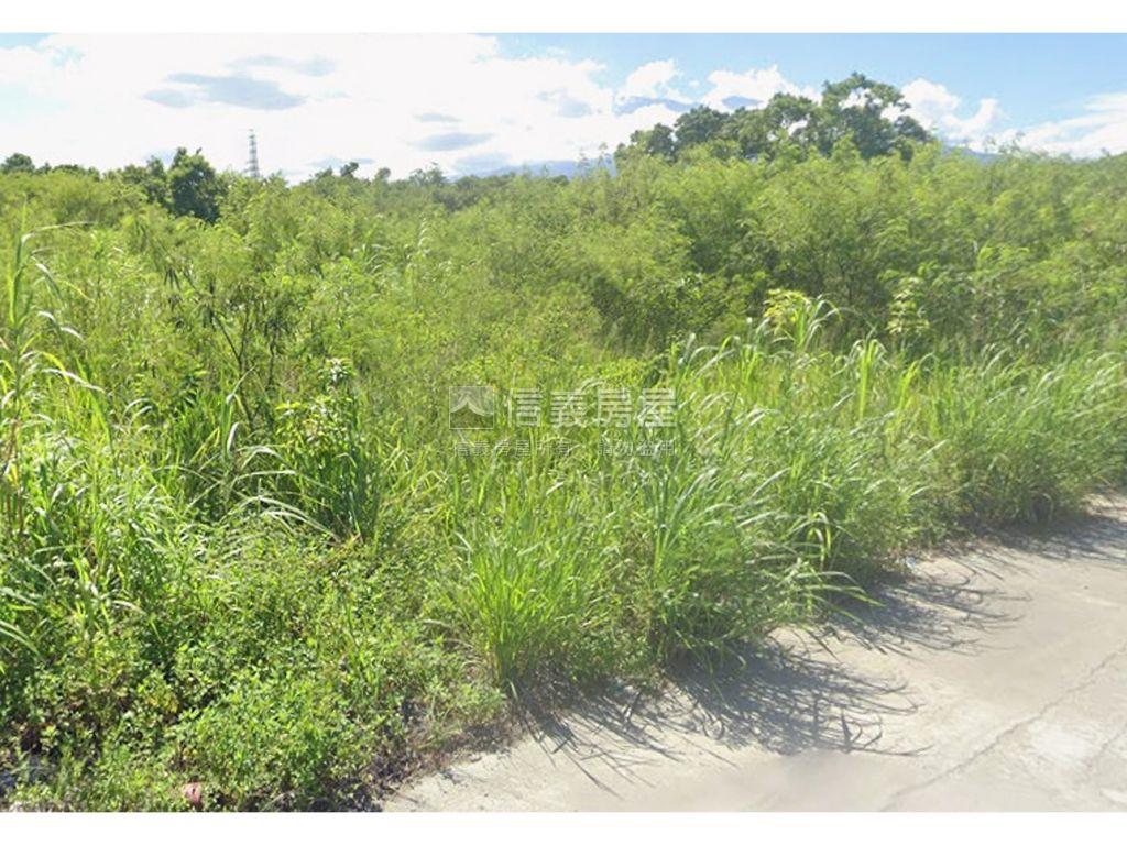 花蓮吉安臨路農地房屋室內格局與周邊環境
