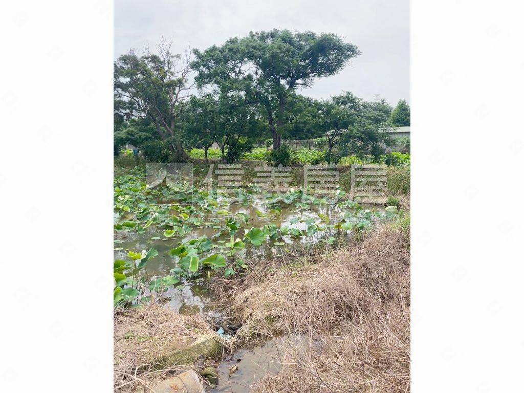 休閒農地開心農場房屋室內格局與周邊環境