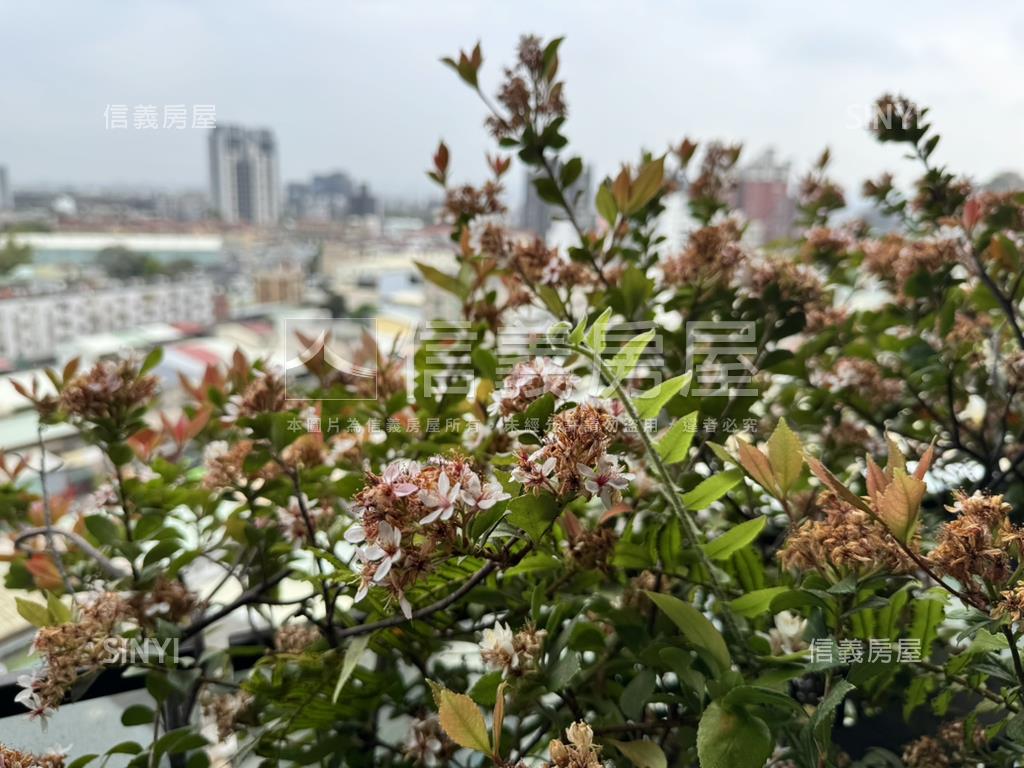 華相上謙質感高樓三房平車房屋室內格局與周邊環境