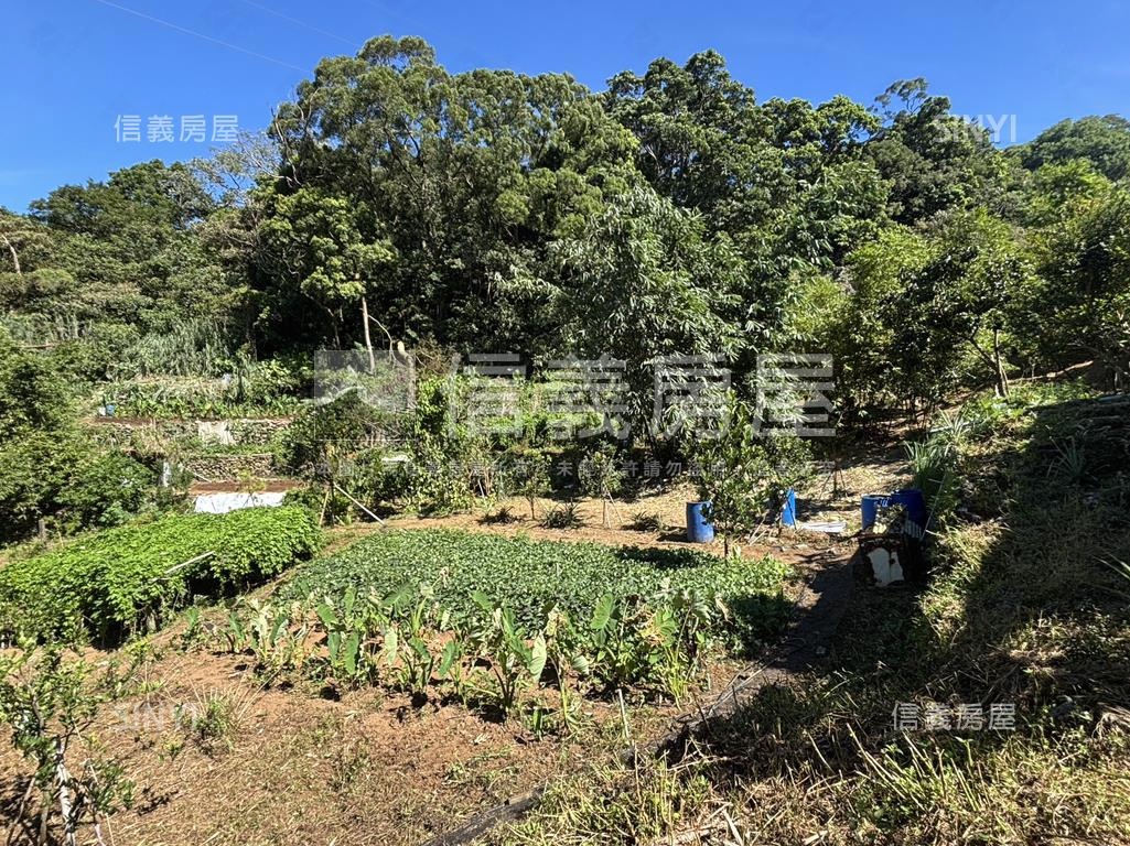 陽明山放鬆好農地房屋室內格局與周邊環境