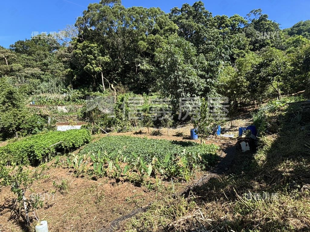 陽明山放鬆好農地房屋室內格局與周邊環境