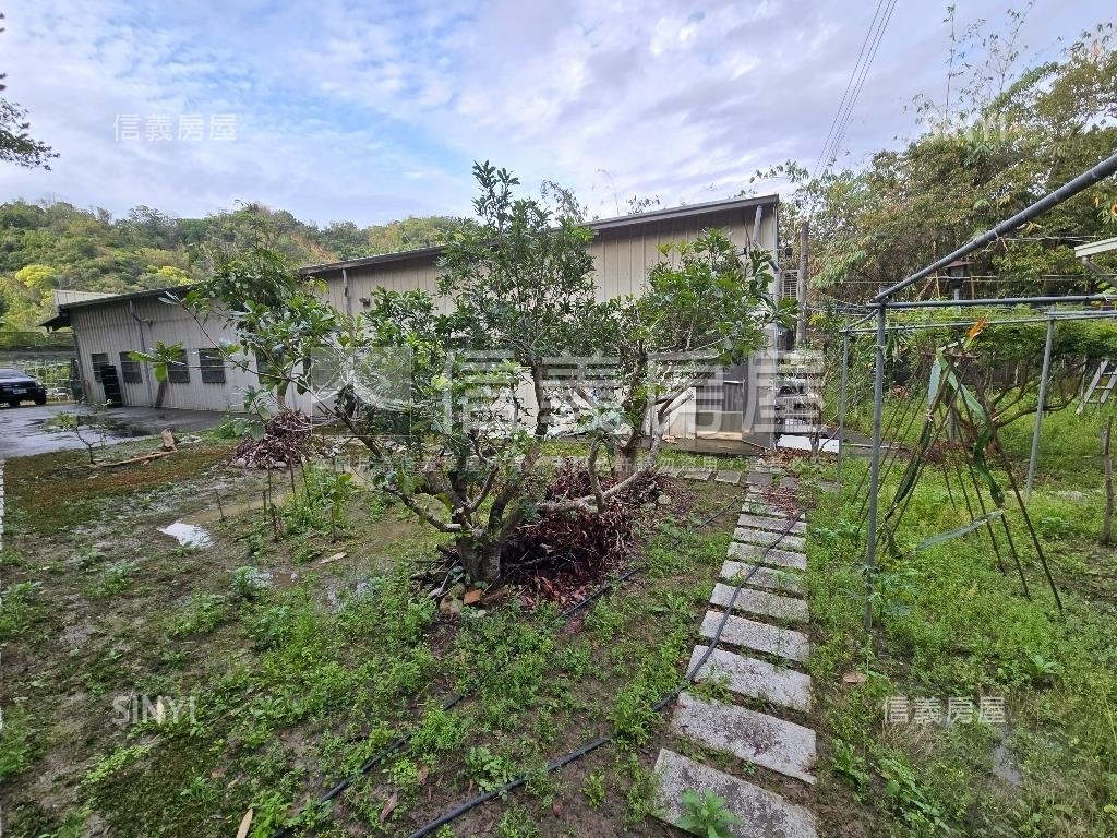 夯⭐退休養生太平大農牧地房屋室內格局與周邊環境