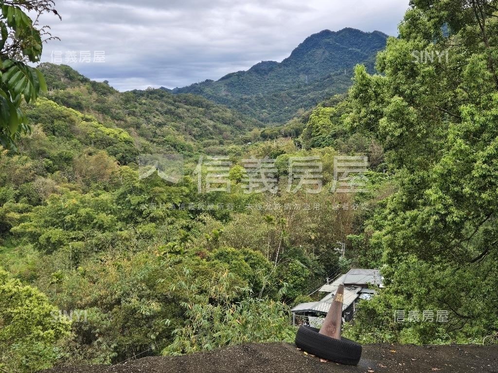 夯⭐退休養生太平大農牧地房屋室內格局與周邊環境