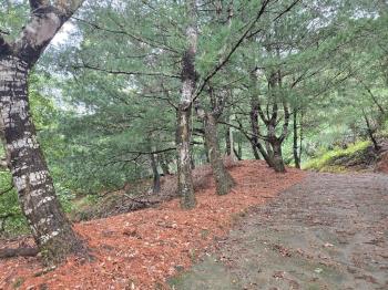 夯⭐退休養生太平大農牧地