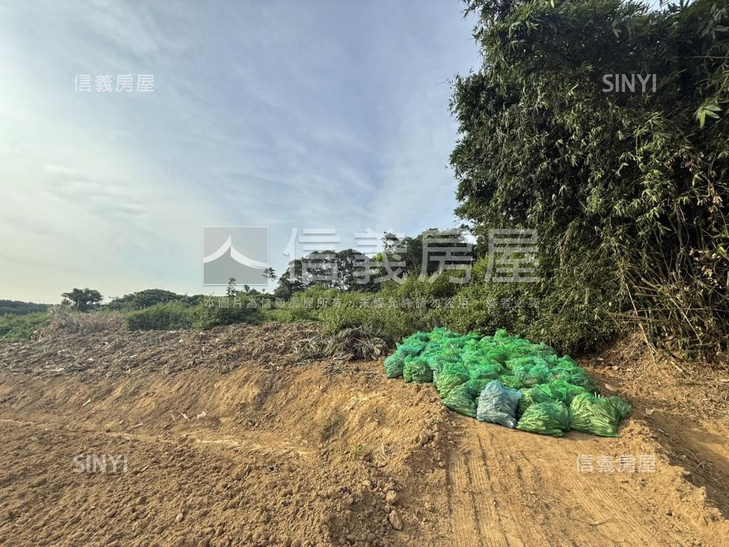 關廟五甲段一般農地房屋室內格局與周邊環境