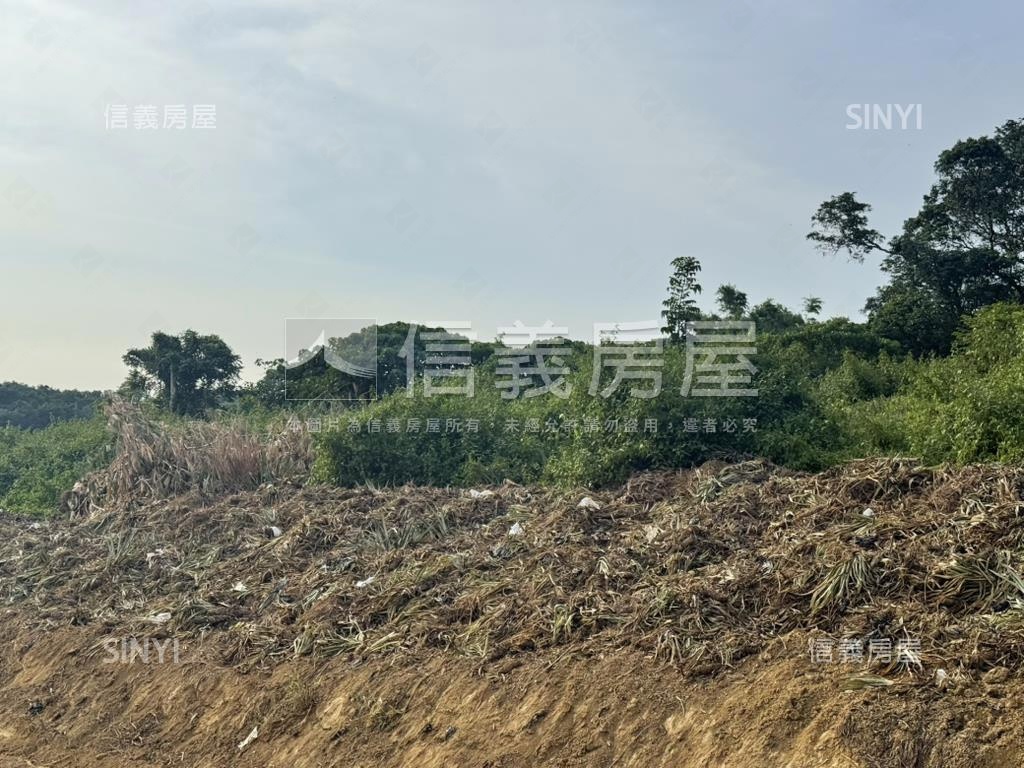 關廟五甲段一般農地房屋室內格局與周邊環境