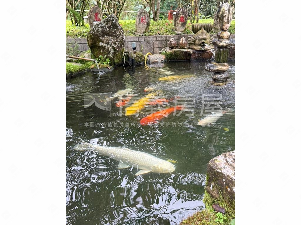好山好水坪林土地房屋室內格局與周邊環境