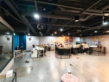 擎天雙星方正店鋪Ａ