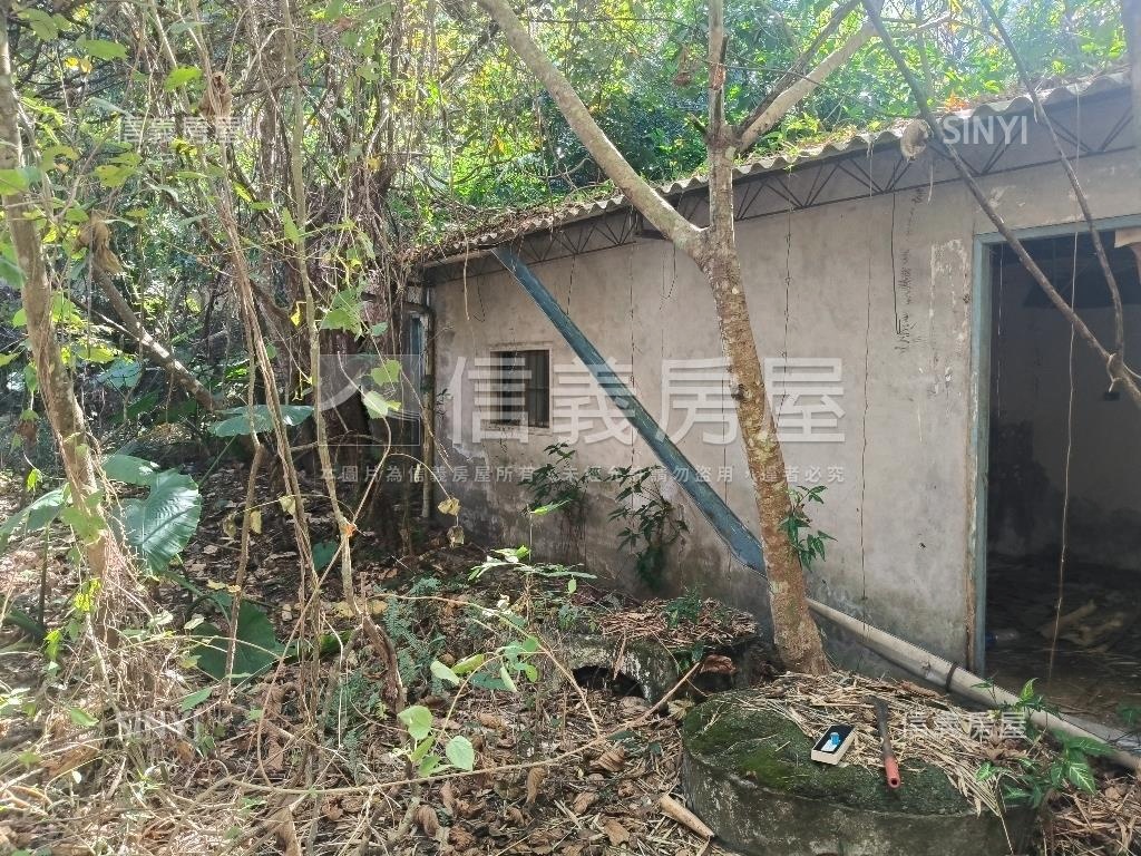 大坑清水巷臨路建地林地房屋室內格局與周邊環境