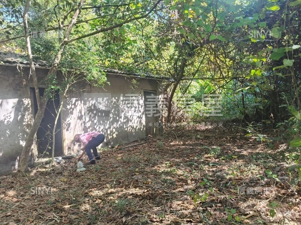 大坑清水巷臨路建地林地房屋室內格局與周邊環境