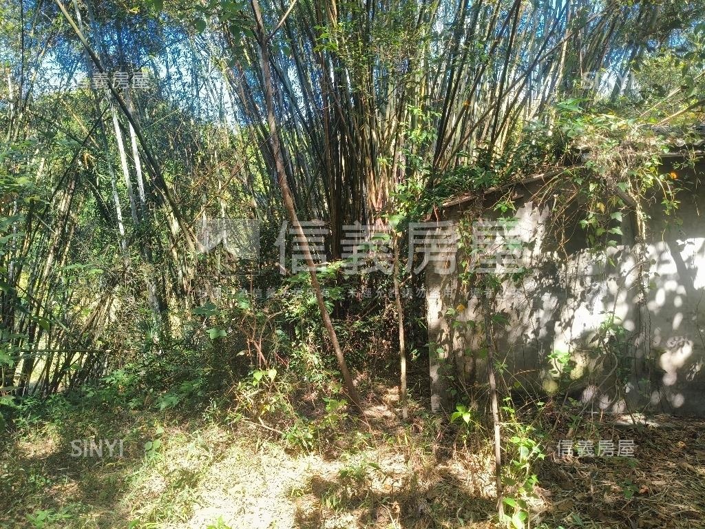 大坑清水巷臨路建地林地房屋室內格局與周邊環境