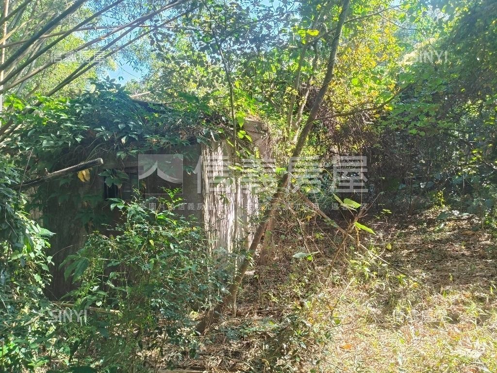 大坑清水巷臨路建地林地房屋室內格局與周邊環境