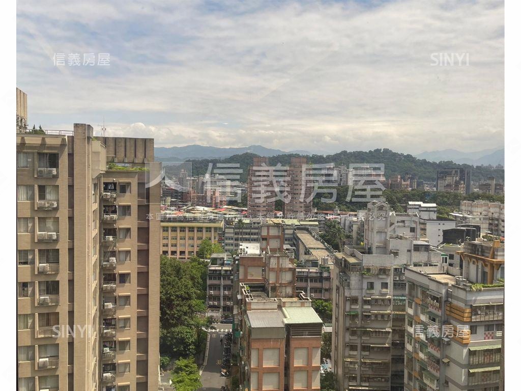 敦南觀止雙車位房屋室內格局與周邊環境