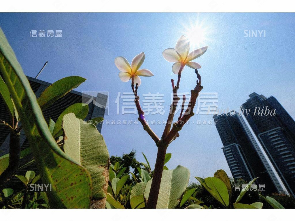 新進Ａ忠泰美麗進行曲房屋室內格局與周邊環境