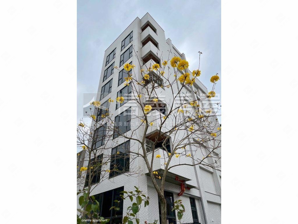 稀有市區面樹梢採光兩房房屋室內格局與周邊環境