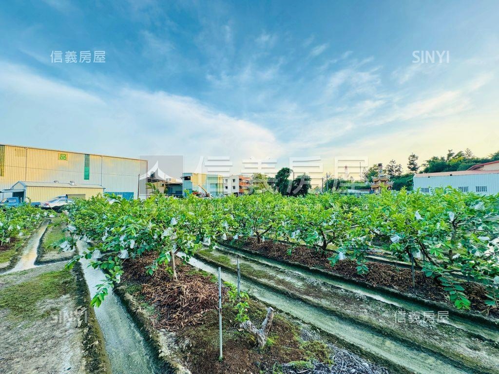 高雄大社興工段住二土地房屋室內格局與周邊環境