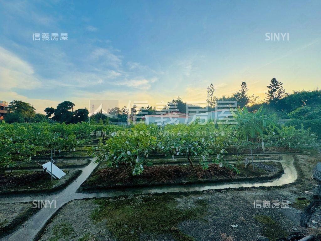 高雄大社興工段住二土地房屋室內格局與周邊環境