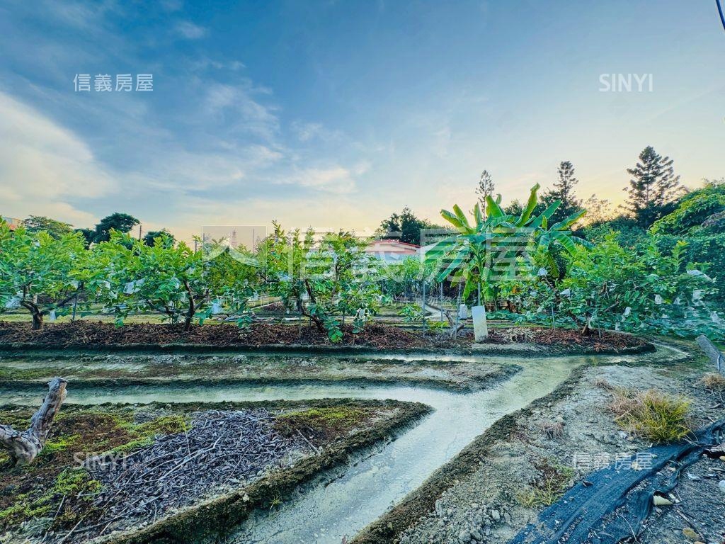 高雄大社興工段住二土地房屋室內格局與周邊環境