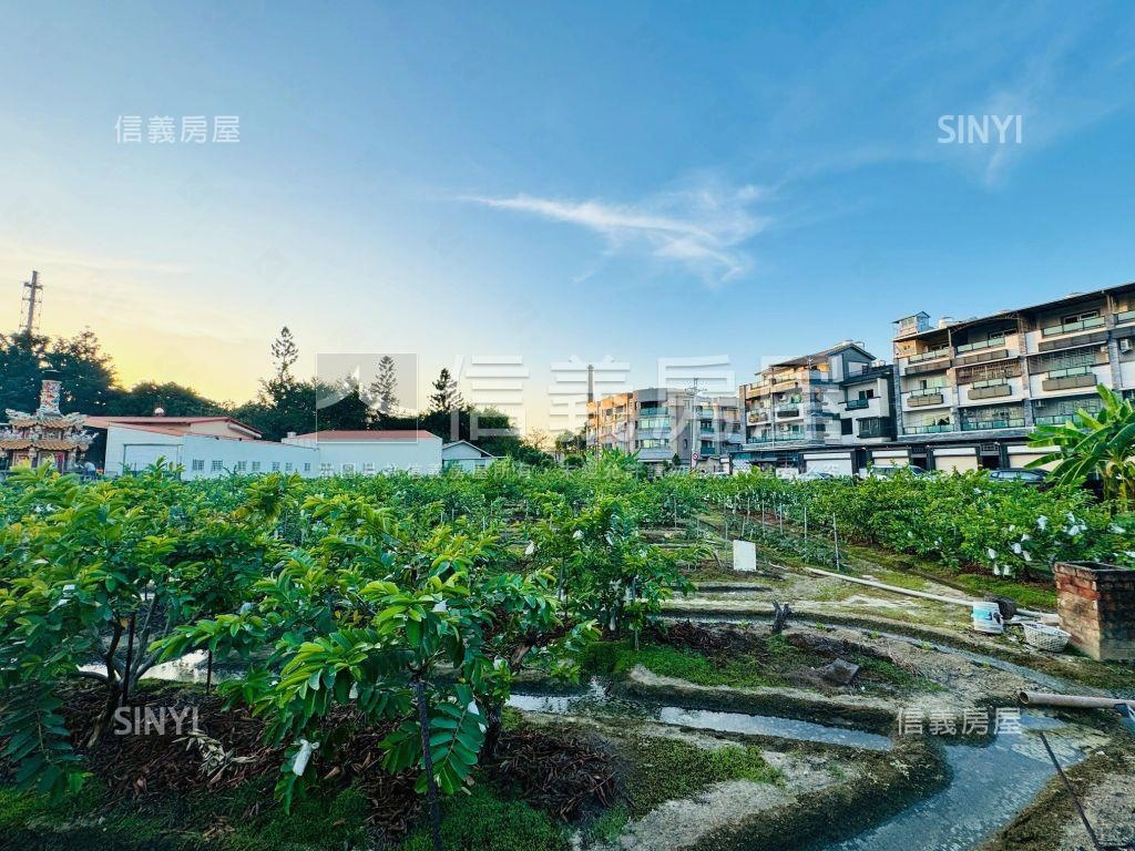 高雄大社興工段住二土地房屋室內格局與周邊環境