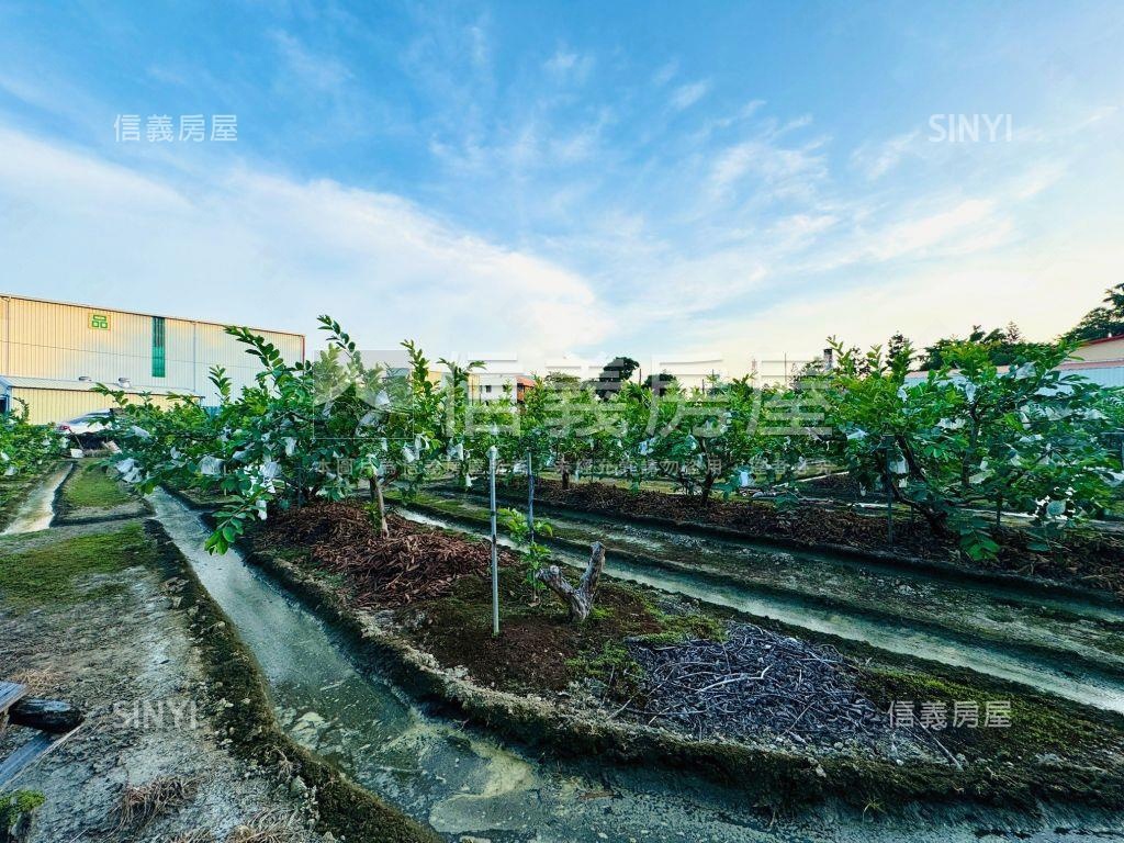 高雄大社興工段住二土地房屋室內格局與周邊環境