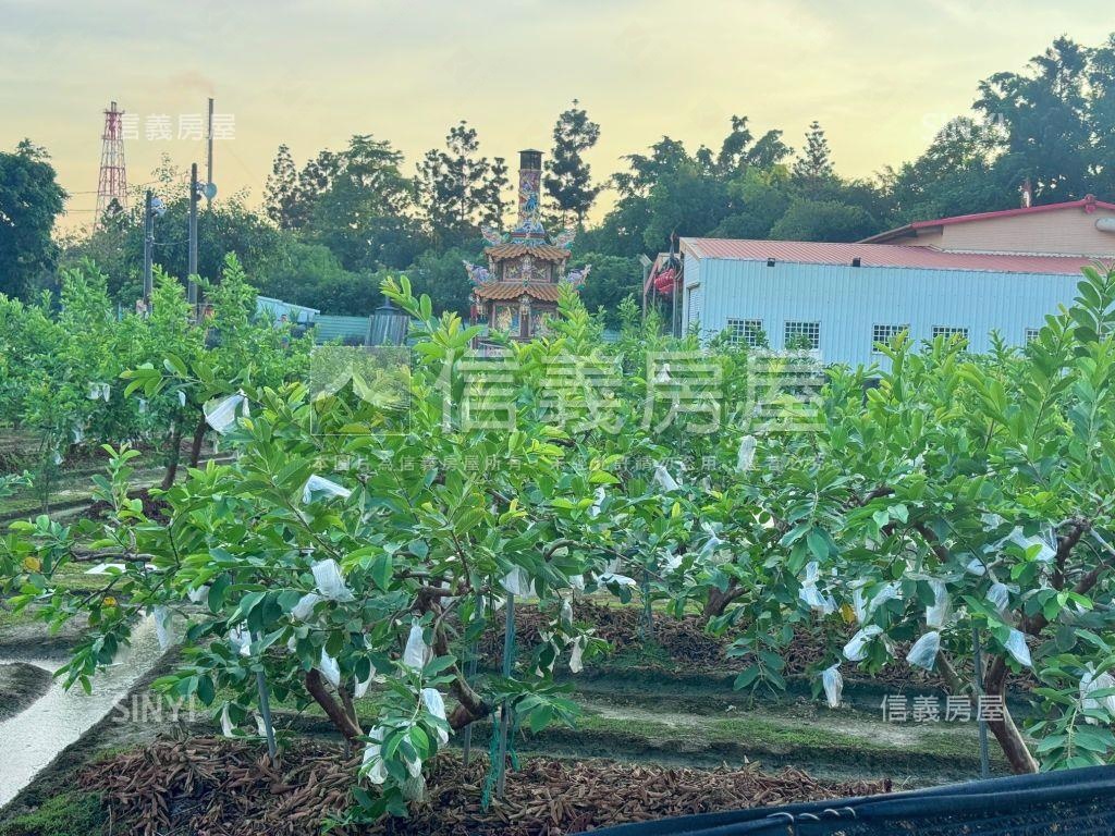 高雄大社興工段住二土地房屋室內格局與周邊環境