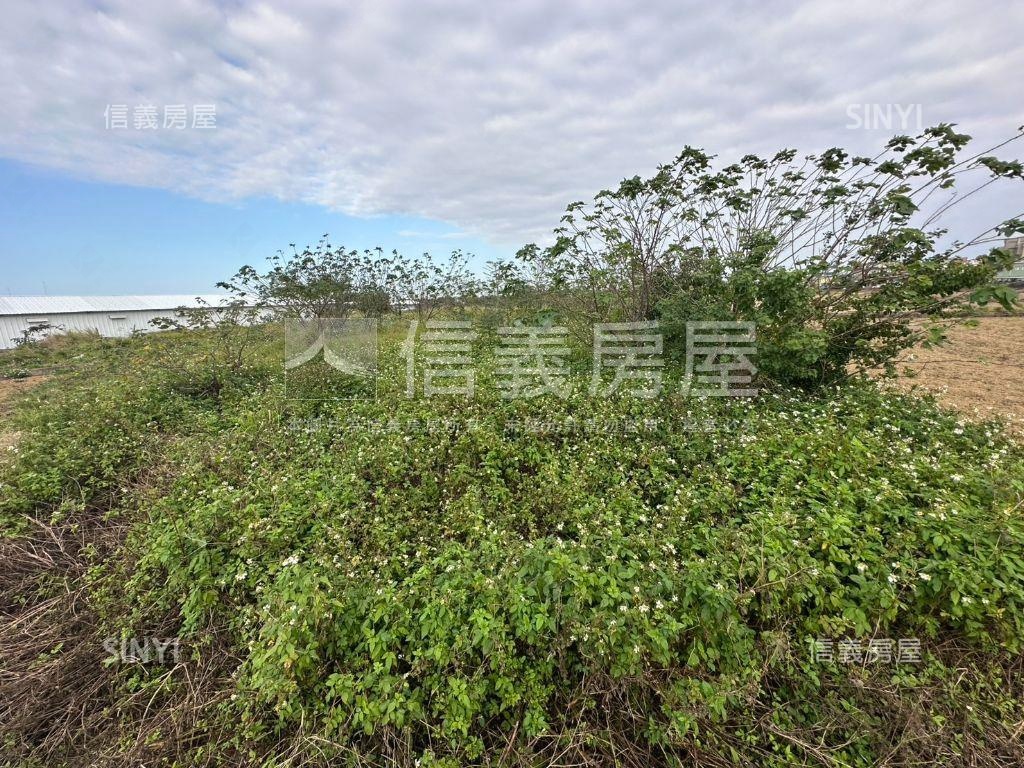 新豐青埔子甲種建築用地房屋室內格局與周邊環境