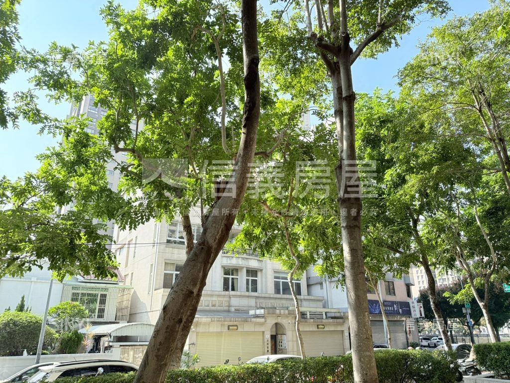 正存中街首排震後電梯別墅房屋室內格局與周邊環境