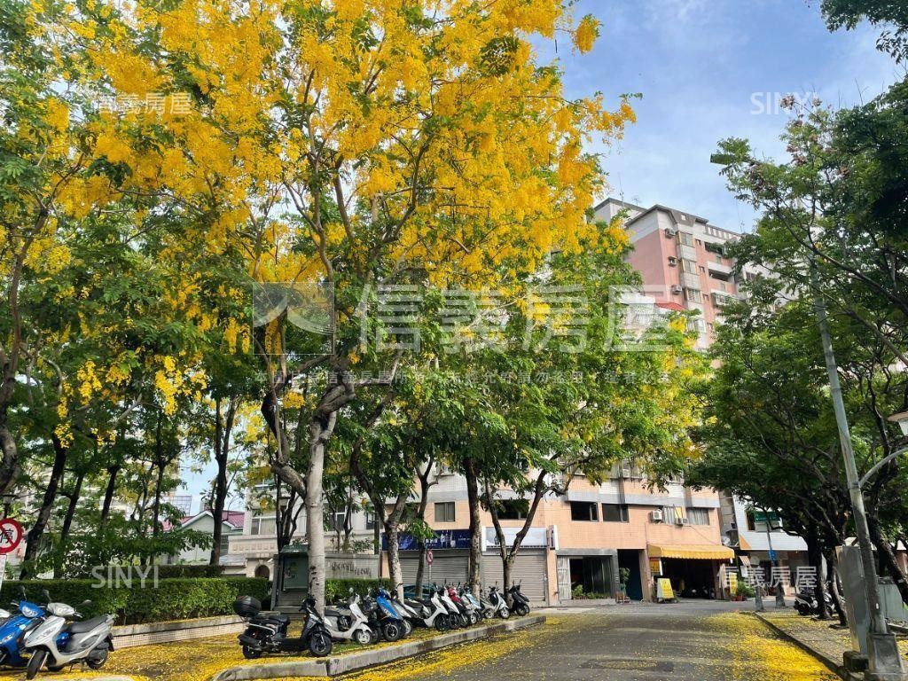 正存中街首排震後電梯別墅房屋室內格局與周邊環境