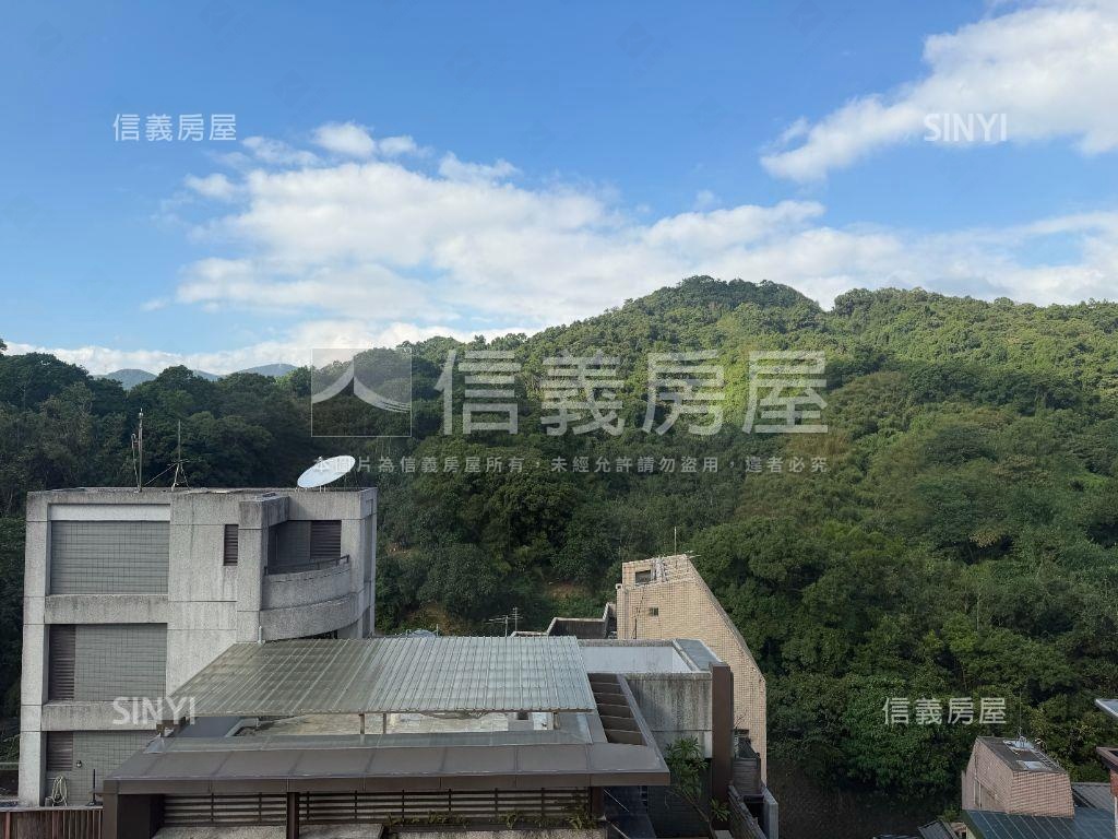 挑高邊間印象大湖房屋室內格局與周邊環境