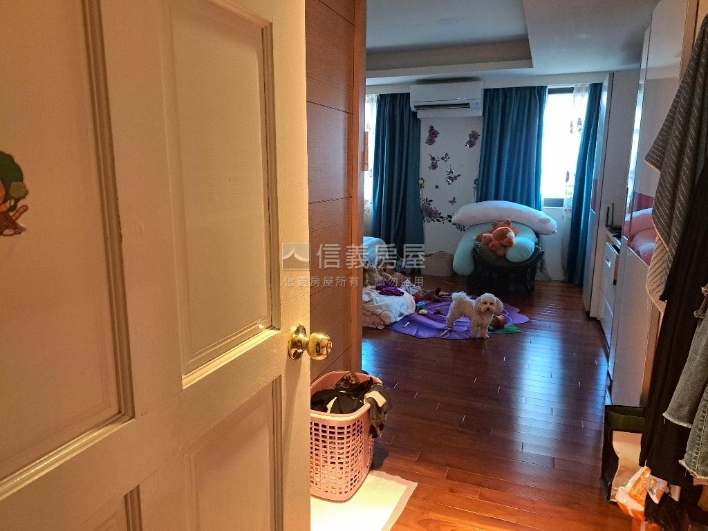 新高學區時尚風臨路美墅房屋室內格局與周邊環境