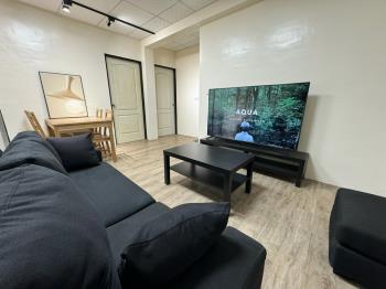 ．成大收租美公寓．