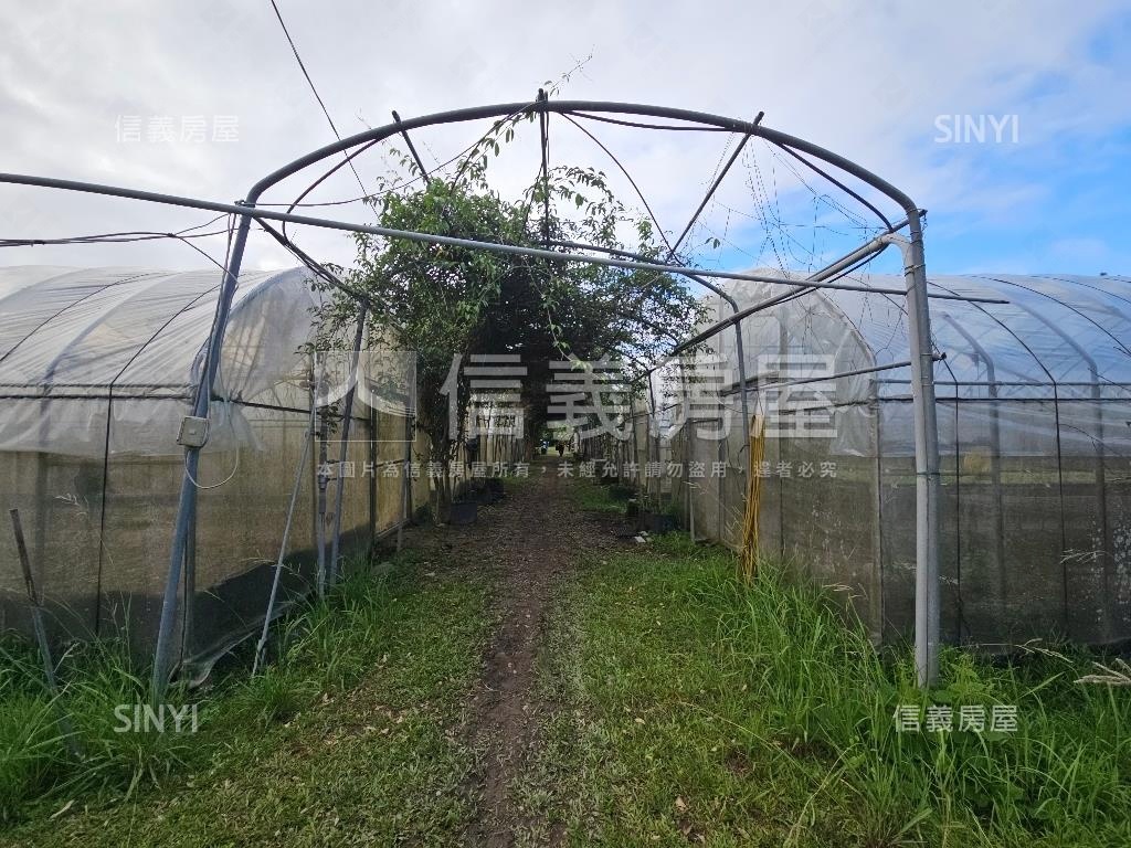 大溪樂活農地房屋室內格局與周邊環境