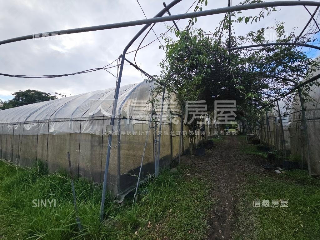 大溪樂活農地房屋室內格局與周邊環境