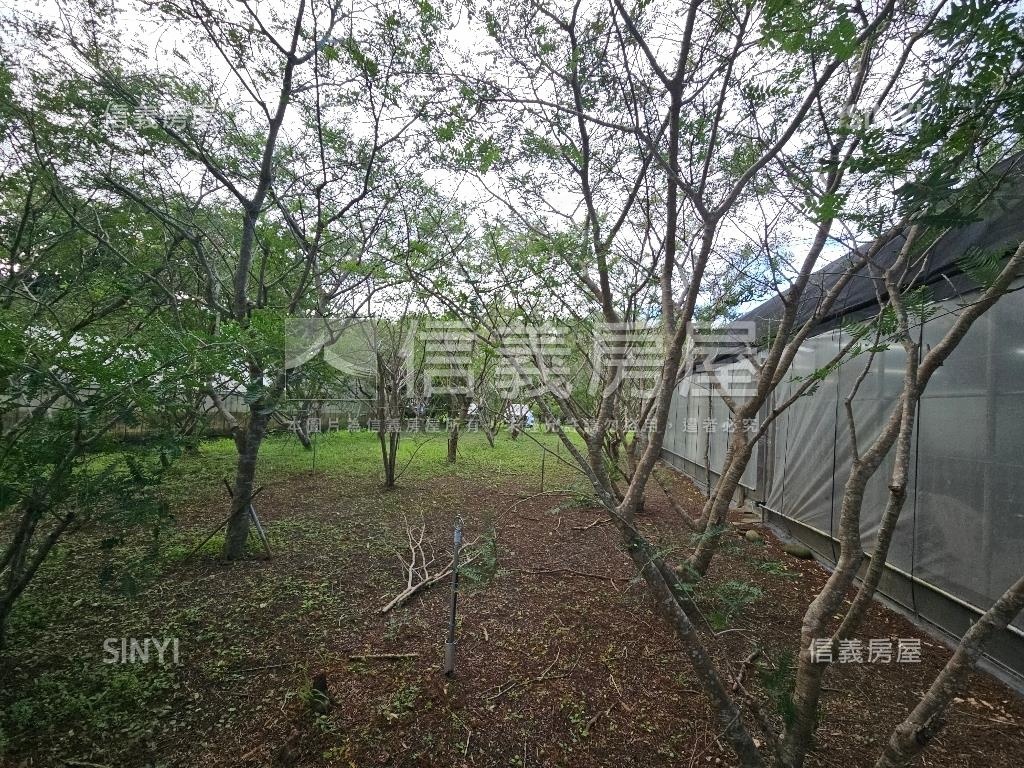 大溪樂活農地房屋室內格局與周邊環境