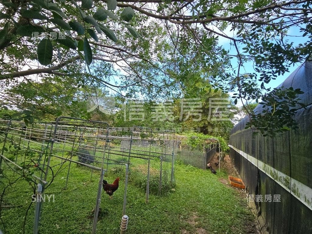 大溪樂活農地房屋室內格局與周邊環境